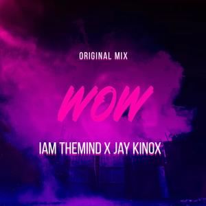 WOW (feat. Jay Kinox) [Explicit]