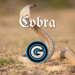 Grantastic Beats - Cobra
