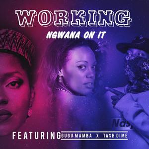 Working (feat. Gugu Mamba & Tash Dime)