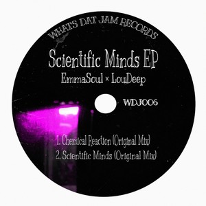 Scientific Minds (Original Mix)