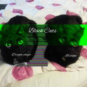 Black cats (feat. Lil Piggy)