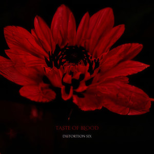 Derniers Mots D'amour