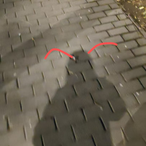 藏在心底的爱 (Live)