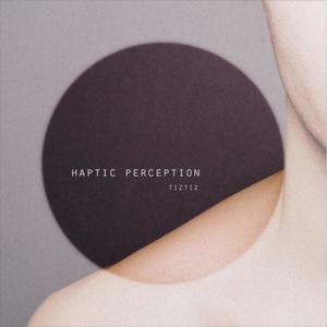 Haptic Perception