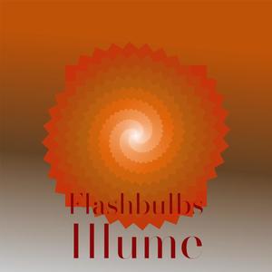 Flashbulbs Illume