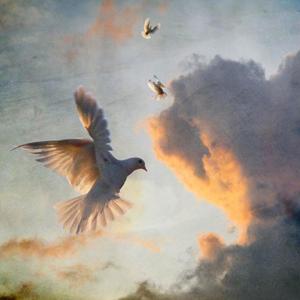 Damian Loa - A.A. Meeting (Explicit)