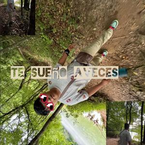te sueño aveces