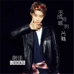 不成问题的问题