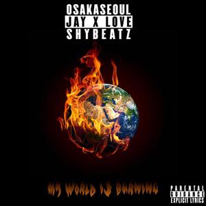 My World Is Burning (Explicit)