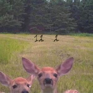 thousands (feat. iLOSTMARI & Evergotlost)