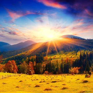 让幸福永远年轻