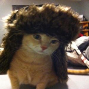 james corden (feat. gayfold) (Explicit)