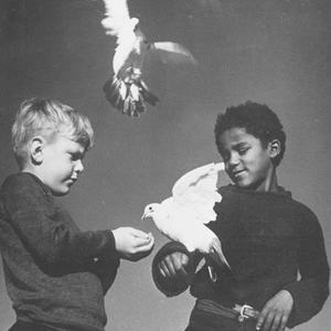 Are We Doves? (Explicit)