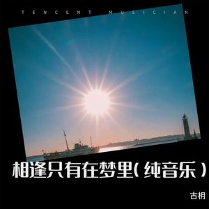相逢只有在梦里 (纯音乐)