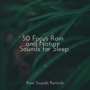 Sleepy Night Music - Flight over Tranquil Waters