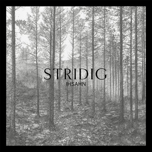 Stridig