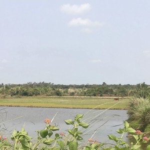 特别关心提示音 (电子音乐Remix)