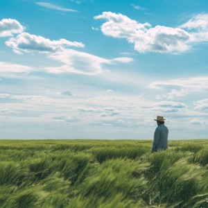 小草不是风的奴仆