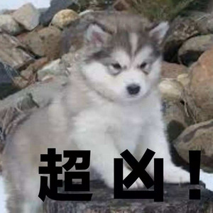 学狗叫