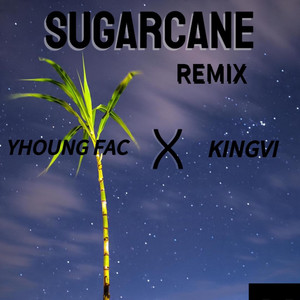 Sugarcane (Remix|Explicit)