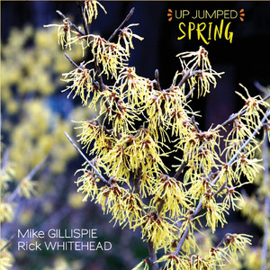 The Rainbow Connection