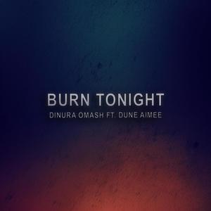 Burn Tonight (feat. DUNE Aimee)