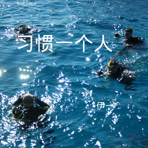 无情画 (Remix)