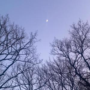 live (feat. Madeleine-Rose Hardy & june2704) (Live|Explicit)