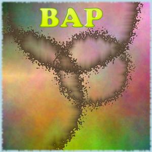 BAP Electrinic