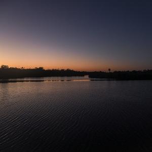 everglades. (feat. wolfrum.)