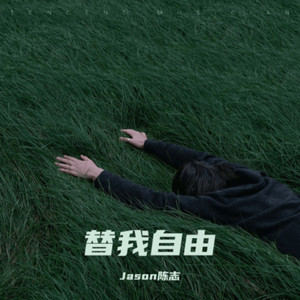 白鸽天鹅 - 陈志封面