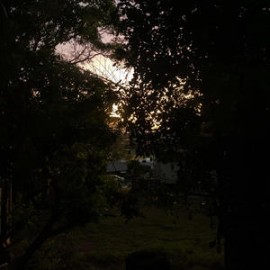 WILD THOTS REMIX (Explicit)