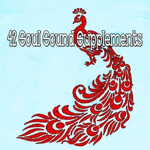 42 Soul Sound Supplements