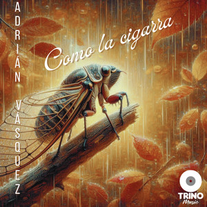 Como la Cigarra (COVER版)
