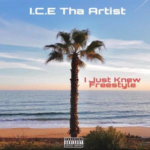 I Just Knew (Explicit)