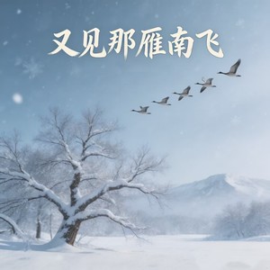 又见那雁南飞