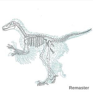 Pathetic To Copacetic(PTC)