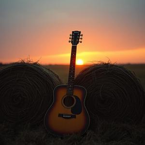 Romance in the Hayfield.