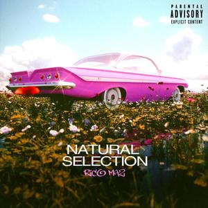 Natural Selection (Explicit)