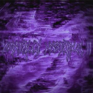 MENTALLY UNSTABLE II (Explicit)