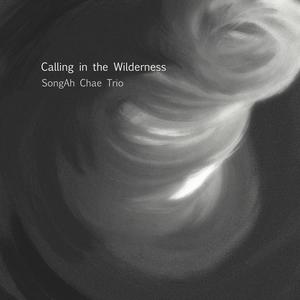 Calling in the Wilderness (feat. Manos Stratis & Joshua Wheatley)