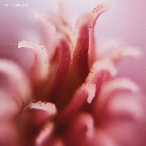 Contakt - Peak Jam