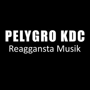 Reaggansta Musik (Explicit)