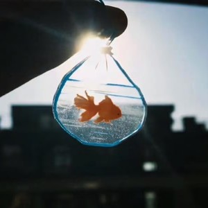 不要让我的眼泪陪我过夜 (Jennie版)