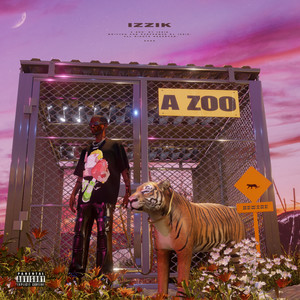 A ZOO (Explicit)