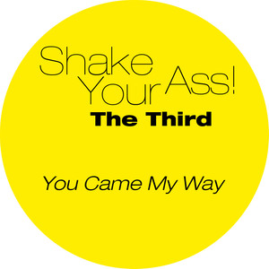 You Came My Way (Mellow Mans Mix)