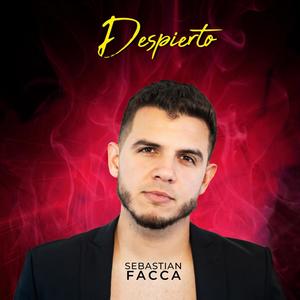 Despierto