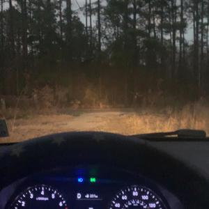 how you like it (Explicit)