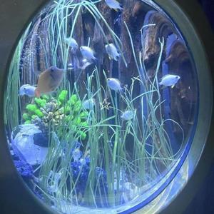 NO SIEMPRE ES LO K TU DIGAS