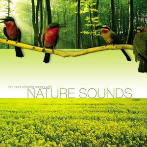 The Most Relaxing Songs with Nature Sounds